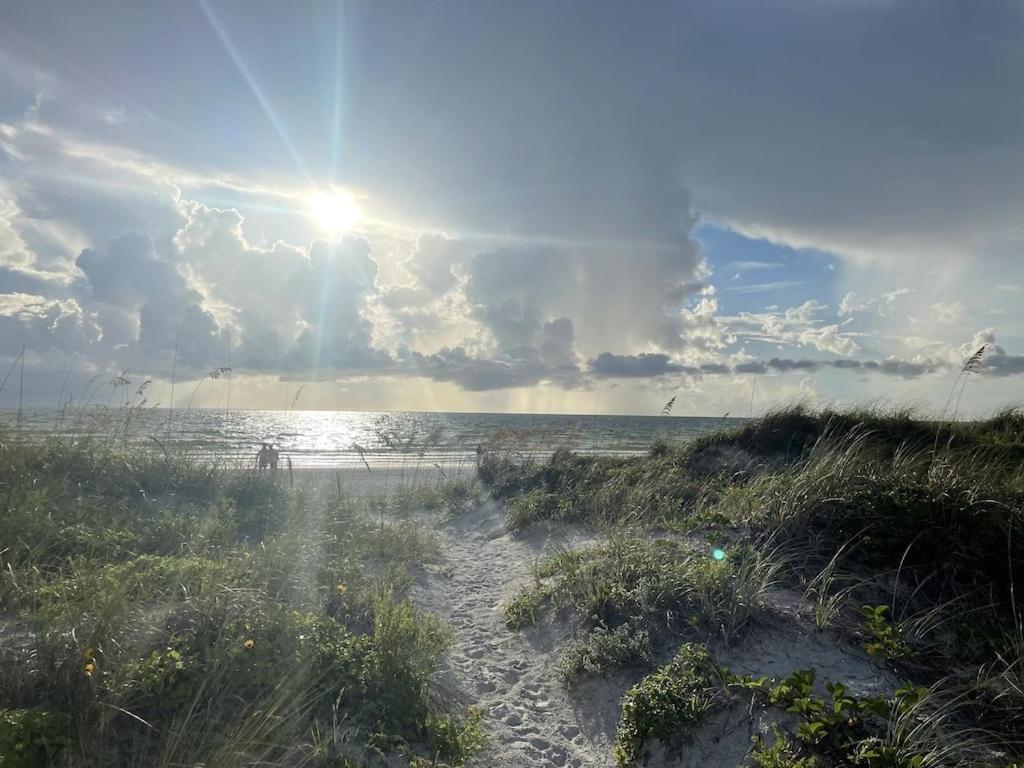 Private Beach Front Cottage- Indian Rocks Beach Clearwater Beach Eksteriør bilde